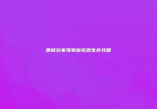 硬核玩家驾驶模拟器生存攻略
