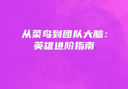 从菜鸟到团队大脑：英雄进阶指南