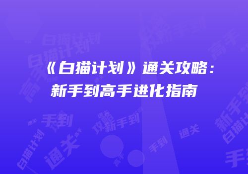 《白猫计划》通关攻略：新手到高手进化指南