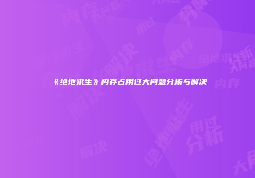 《绝地求生》内存占用过大问题分析与解决