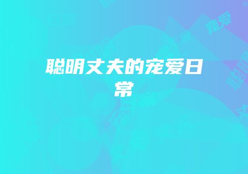聪明丈夫的宠爱日常