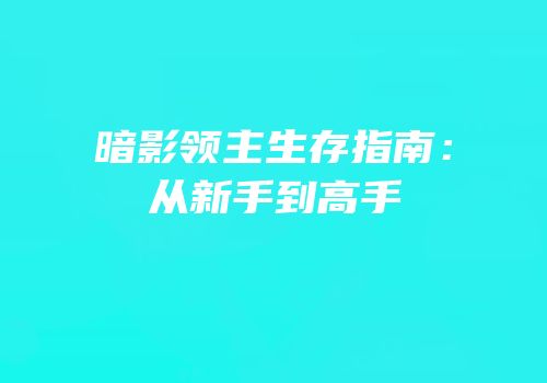 暗影领主生存指南：从新手到高手