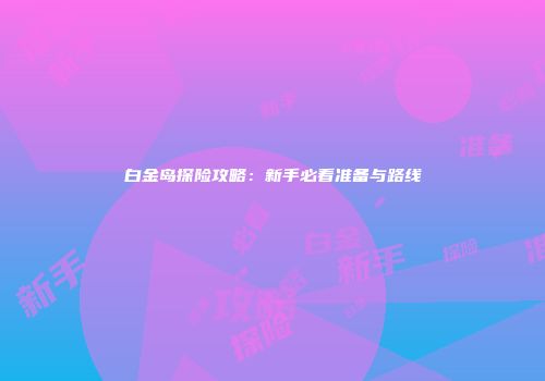 白金岛探险攻略：新手必看准备与路线