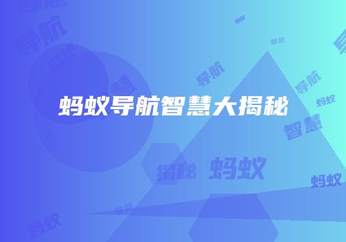 蚂蚁导航智慧大揭秘