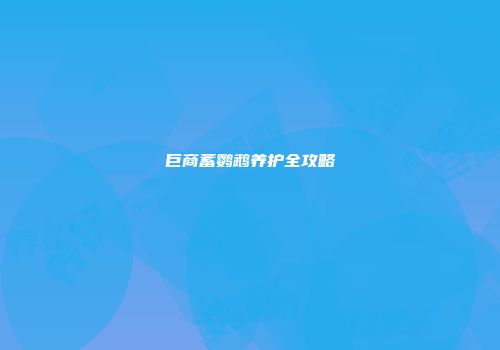 巨商蓄鹦鹉养护全攻略
