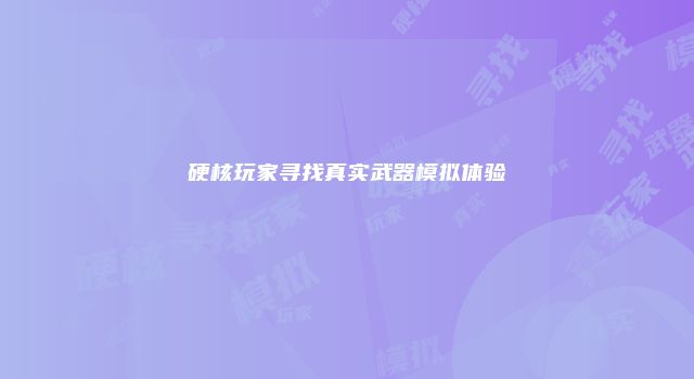 硬核玩家寻找真实武器模拟体验