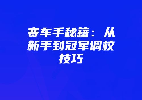 赛车手秘籍：从新手到冠军调校技巧