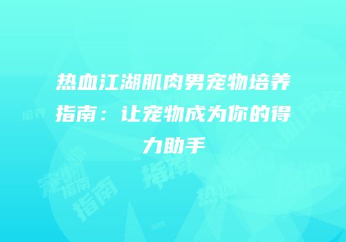 热血江湖肌肉男宠物培养指南：让宠物成为你的得力助手