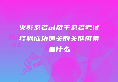 火影忍者ol风主忍者考试经验成功通关的关键因素是什么