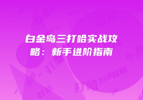 白金岛三打哈实战攻略：新手进阶指南
