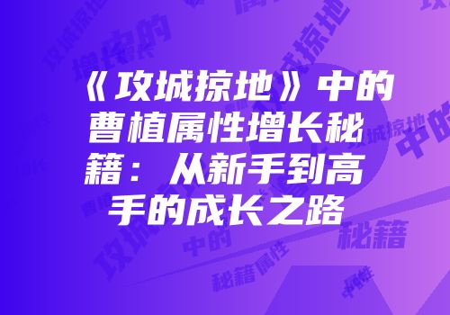 《攻城掠地》中的曹植属性增长秘籍：从新手到高手的成长之路