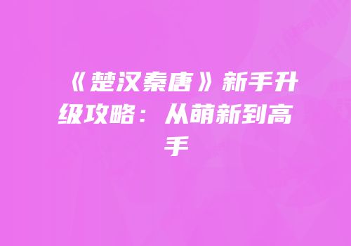 《楚汉秦唐》新手升级攻略：从萌新到高手