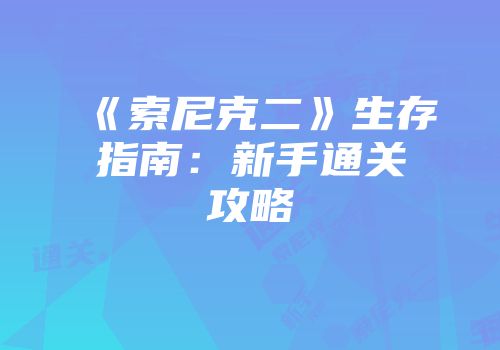 《索尼克二》生存指南：新手通关攻略