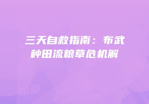 三天自救指南：布武种田流粮草危机解