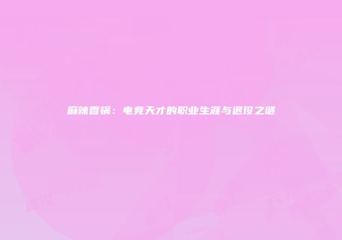麻辣香锅：电竞天才的职业生涯与退役之谜