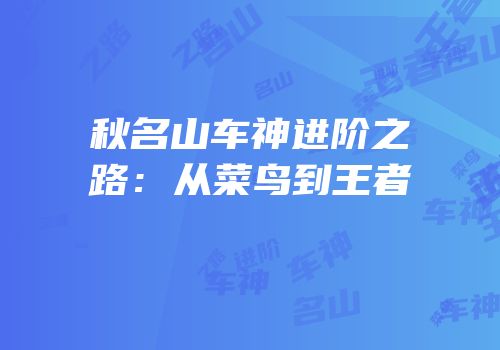 秋名山车神进阶之路：从菜鸟到王者
