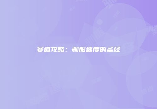赛道攻略：驯服速度的圣经