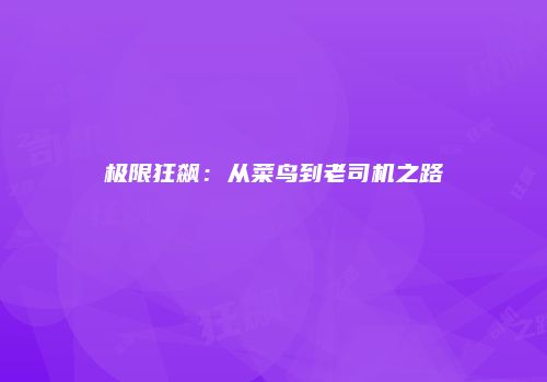 极限狂飙：从菜鸟到老司机之路