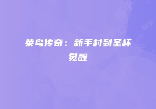 菜鸟传奇：新手村到圣杯觉醒