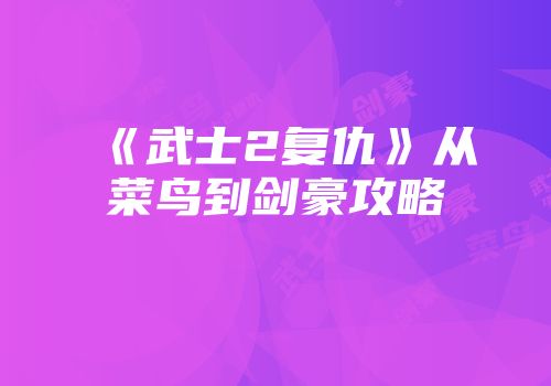 《武士2复仇》从菜鸟到剑豪攻略