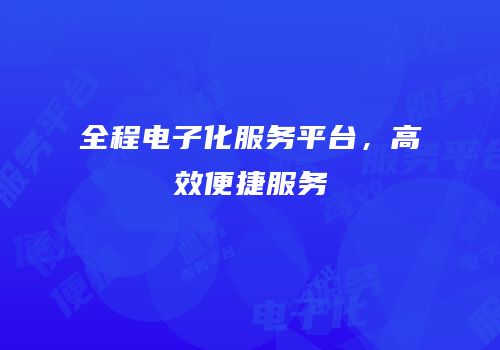 全程电子化服务平台，高效便捷服务