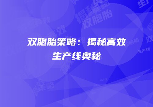双胞胎策略：揭秘高效生产线奥秘