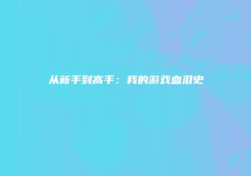 从新手到高手：我的游戏血泪史