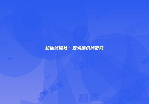超能侦探社：逻辑编织捕梦网
