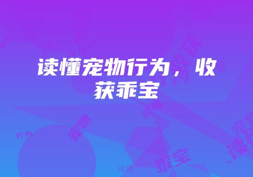 读懂宠物行为，收获乖宝
