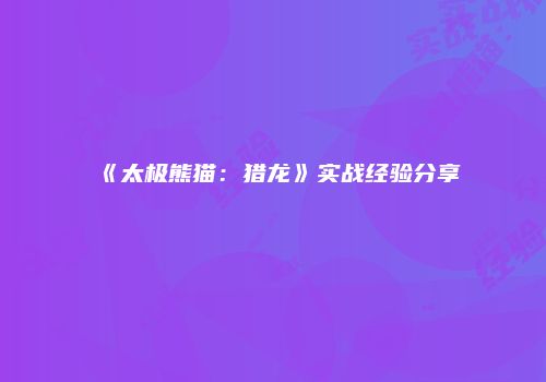 《太极熊猫：猎龙》实战经验分享