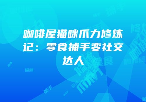 咖啡屋猫咪爪力修炼记：零食捕手变社交达人