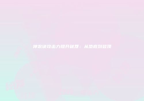 神农诀攻击力提升秘笈：从垫底到登顶