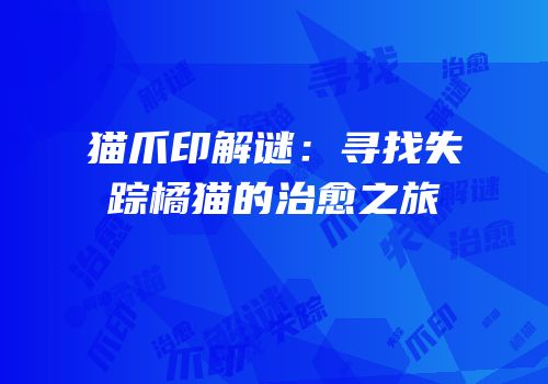 猫爪印解谜：寻找失踪橘猫的治愈之旅