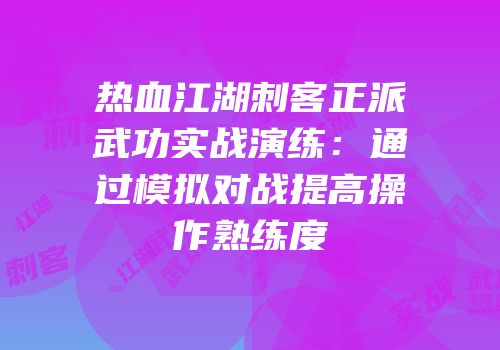 热血江湖刺客正派武功实战演练：通过模拟对战提高操作熟练度