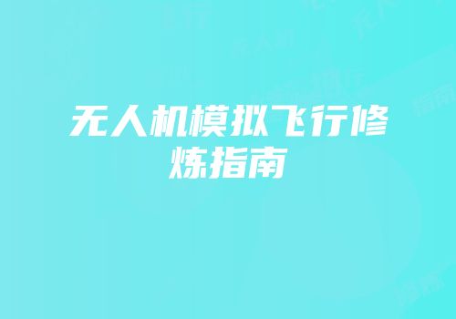无人机模拟飞行修炼指南