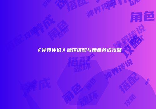 《神界传说》魂环搭配与角色养成攻略