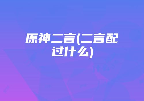 原神二言(二言配过什么)
