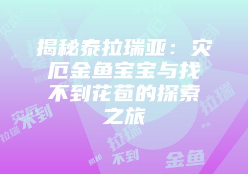 揭秘泰拉瑞亚：灾厄金鱼宝宝与找不到花苞的探索之旅