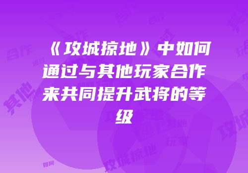 《攻城掠地》中如何通过与其他玩家合作来共同提升武将的等级