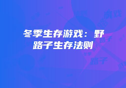 冬季生存游戏：野路子生存法则