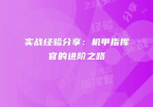 实战经验分享：机甲指挥官的进阶之路