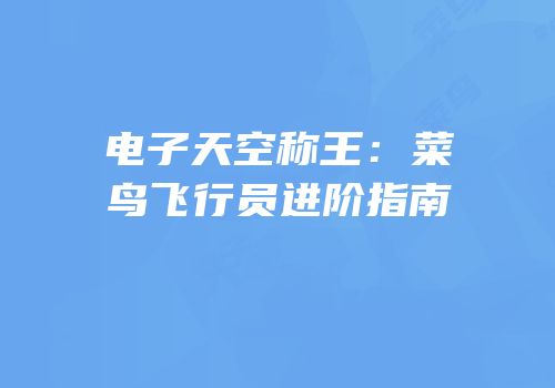 电子天空称王：菜鸟飞行员进阶指南