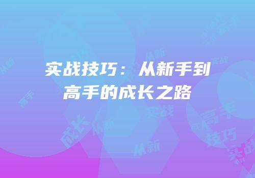 实战技巧：从新手到高手的成长之路