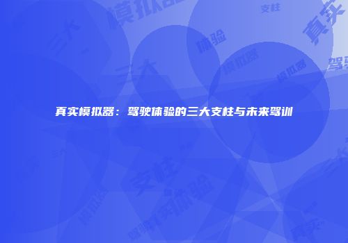 真实模拟器：驾驶体验的三大支柱与未来驾训