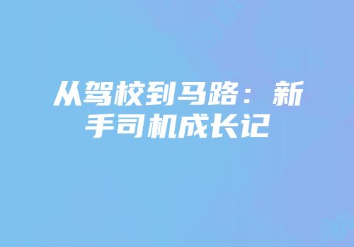从驾校到马路：新手司机成长记