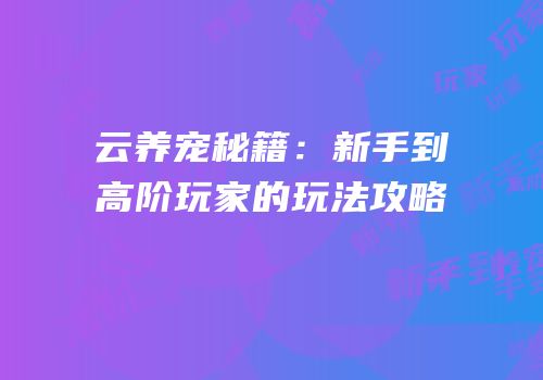 云养宠秘籍：新手到高阶玩家的玩法攻略
