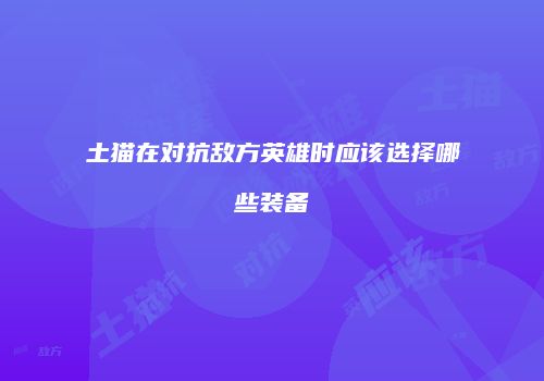土猫在对抗敌方英雄时应该选择哪些装备