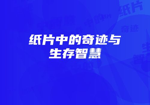 纸片中的奇迹与生存智慧