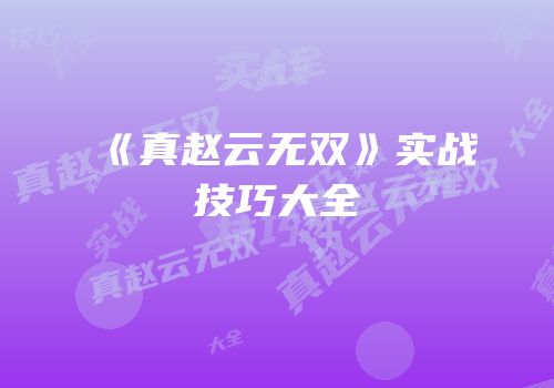 《真赵云无双》实战技巧大全