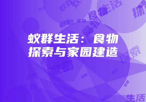 蚁群生活：食物探索与家园建造